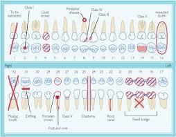 pediatric dental charting forms bedowntowndaytona com