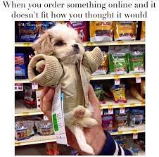 101 Best Funny Dog Memes To Make You Laugh All Day Funny Dog Memes Cute Dogs Cute Animals