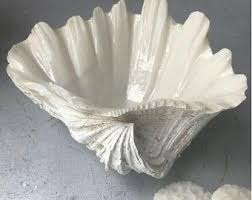 Clam shell decor nzz zeitung. 57 Best Seashell Box Ideas Seashell Box Giant Clam Shell Giant Clam
