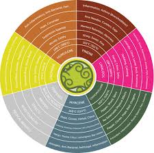 Cannabis Terpenes What Are They And Their Effects Highclub