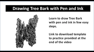 I will also detail the numerous options accessible to artists in terms of tools, pens, and paper you can utilize to accomplish this task. Step By Step Drawing Tree Bark With Pen And Ink Youtube