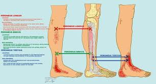 Cara urut jom urut kesihatan rawatan urut titik meridian urut urut badan urut bahu urut bakal pengantin urut batin urut belakang urut belikat urut buang angin urut kaki urut kepala urut. Facebook