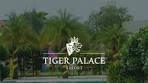 Discover the ultimate getaway at Tiger Palace Resort ...
