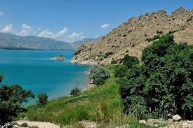 Image result for Vanwykia