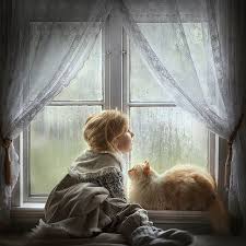 Calm Mood Of Norwegian People And Their Pure Beauty Is A Dream 85mm Lechu Domoj Obozhayu Nochnye Rejsy Prokrastsya V Dom Cat Photography Cute Animals Cats