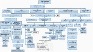 49 Clean Department Organizational Chart Template