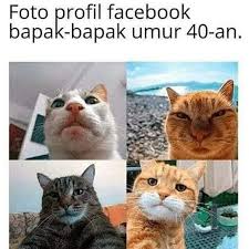Gemas 10 Meme Ekspresi Kucing Ini Bikin Ngakak Sekaligus Setuju 5 Di 2020 Meme Kucing Meme Kucing