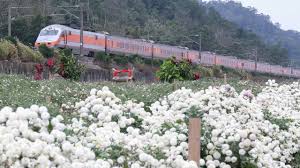 The site owner hides the web page description. è‹—æ —ä¸‰ç¾©ç™¾å¹´åœŸåœ°å…¬å»Ÿæ­èŠç«è»Š Youtube