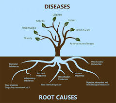 Maybe you would like to learn more about one of these? What Is Functional Medicine Concept Nutrition