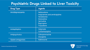 Image result for Liver Function Test