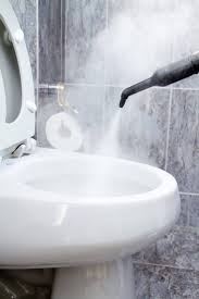 Toilet Mold What It Means And How To Remove It We Will Look At How To Remove Mold Under The Toilet Bowl Rim In T In 2020 Clean Toilet Bowl