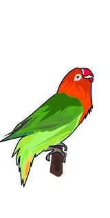  9 Ide Lovebird Logo Burung Gambar Burung Burung Cantik