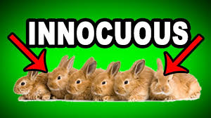 Rabbits have an excellent sense of smell, hearing and vision. Learn English Words Innocuous Meaning Vocabulary With Pictures And Examples Youtube