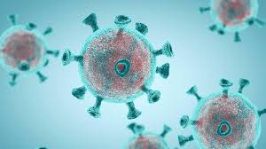 Interactive tools, including maps, epidemic curves and other. Covid 19 Update