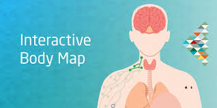 Lump or area of thickening that can be felt under the skin. Cancer Australia On Twitter Learn About Some Of The Most Common Cancer Symptoms With Our Interactive Body Map If You Have A New Cancer Symptom Lump Or Any Change In Your Body