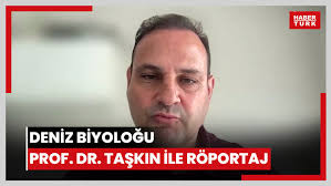 Denizlerdeki ısınma katil yosunun yayılma riskini artırıyor