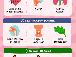 understanding the red blood cell rbc count