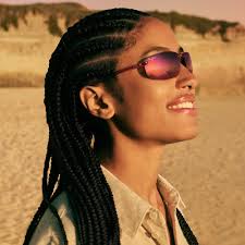 AAdvantage Exchange℠. Home