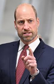 Prince William's slash and burn royal plan revealed