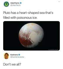 Top 20 Lmao Hilarious California Memes Funny Relatable Memes Stupid Funny Memes Stupid Funny
