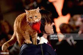 bob der streuner stock fotos und bilder getty images