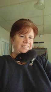 Its SO funny to me that I walk in a different direction with 8 tiny shadows  behind me 😆 Not like they don't have constant access to wet food AND  formula 😅