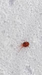 Image result for site:byggahus.se ozon