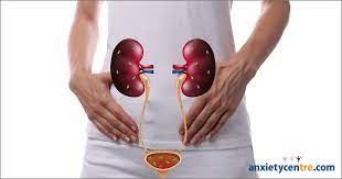 Frequent Urination Anxiety Symptom Anxietycentre Com