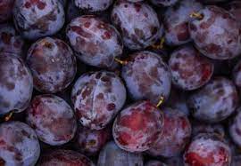 Can I Drink Prune Juice While Breastfeeding Health Advisor