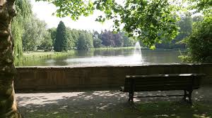 Er erstreckt sich auf einer fläche von 3. Strassenbahn 044 Krefeld Hbf Bis Rheinhafen Tote Gleise