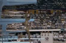 Maybe you would like to learn more about one of these? Olympics Diver Gifs Tenor