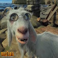 Just click the download button and the gif from the and doubletake collection will be downloaded to your device. Double Take Thewildlife Scrubby Gif On Gifer By Grigar