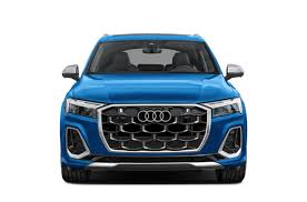 Image result for Waitomo Blue 2025 SQ7