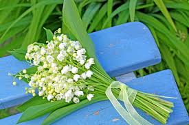 Chaque année, la tradition veut que l'on offre des petits brins de cette fleur à des proches. Les Plus Belles Photos De Muguet A Envoyer Pour Le 1er Mai