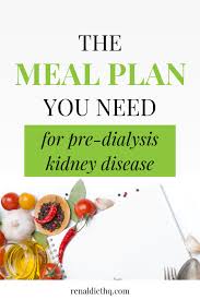 21 Day Vegetarian Meal Plan For Pre Dialysis Kidney Disease Renal Diet Menu Headquarters In 2020 Renal Diet Recipes Kidney Diet Recipes Kidney Friendly Foods