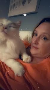 My fellow cat peeps! I was wondering if I may request reviews