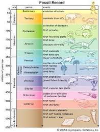 Image Result For Fossil Record Lesson Plan Geologic Time Scale Geology History Of Earth