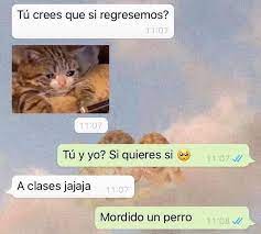 Pin En De Todo Un Poco