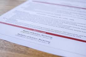 Resume Paper 5 Best Resume Paper Options