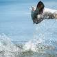 Croc Country Safari: Adelaide River Adventure event image