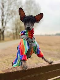 gute nacht ihr prinzen & prinzessinnen von maine ihr könige & königinnen  von neuengland manchmal habe ich es so satt beweisen zu müssen, dass frauen  etwas können. er hört nicht auf. all