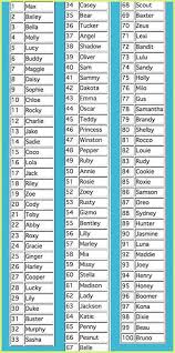 Best 500+ male dog names. 10 Pet Names Ideas Names Pet Names Dog Names