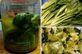 Oleh karena itu, sawi pahit sering diolah melalui proses pengasinan agar dapat menghilangkan rasa. Resepi Sayur Sawi Pahit