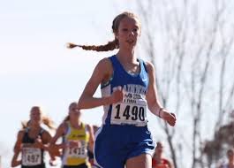 Kalamazoo-area runners bring high hopes to MIS for cross country state  finals