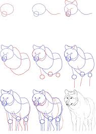 Easy step by step drawing tutorials for kids and beginners. How To Draw A Wolf Animal Drawings Easy Drawings Wolf Drawing