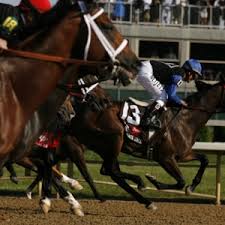 How about when the first kentucky derby took place? Kentucky Derby Trivia Questions And Answers 2016