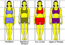 Adapting your training and nutrition to your somatotype is missing the point. Identifying Your Body Type Steemit