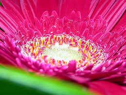 We did not find results for: Free Hd Wallpapers Download For Mobile Group 73