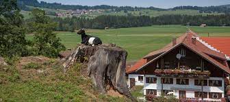 pin auf reiseziele