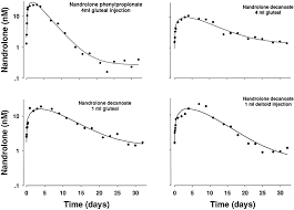 active half life of steroids esters and ancillaries